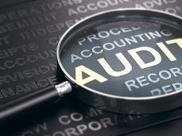 Arizona Audit Update