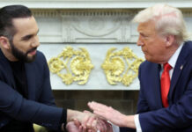 Main Stream Media MELTDOWN Salvador